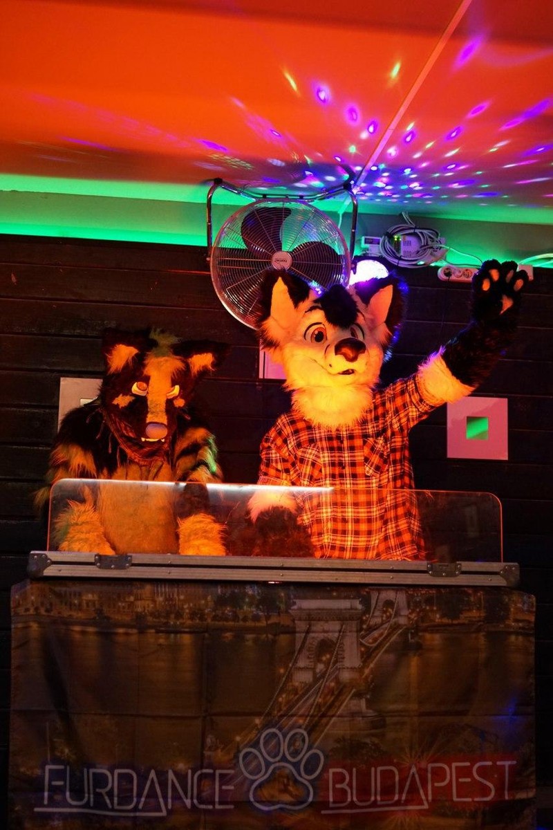 Suit DJ