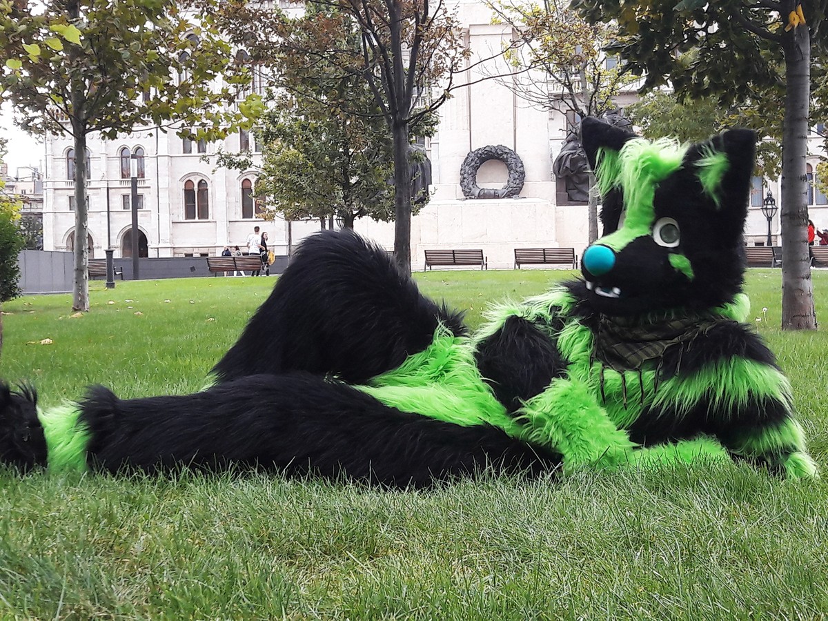 Greeeeen wuff
