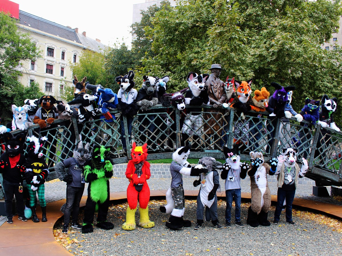 Bridge group
