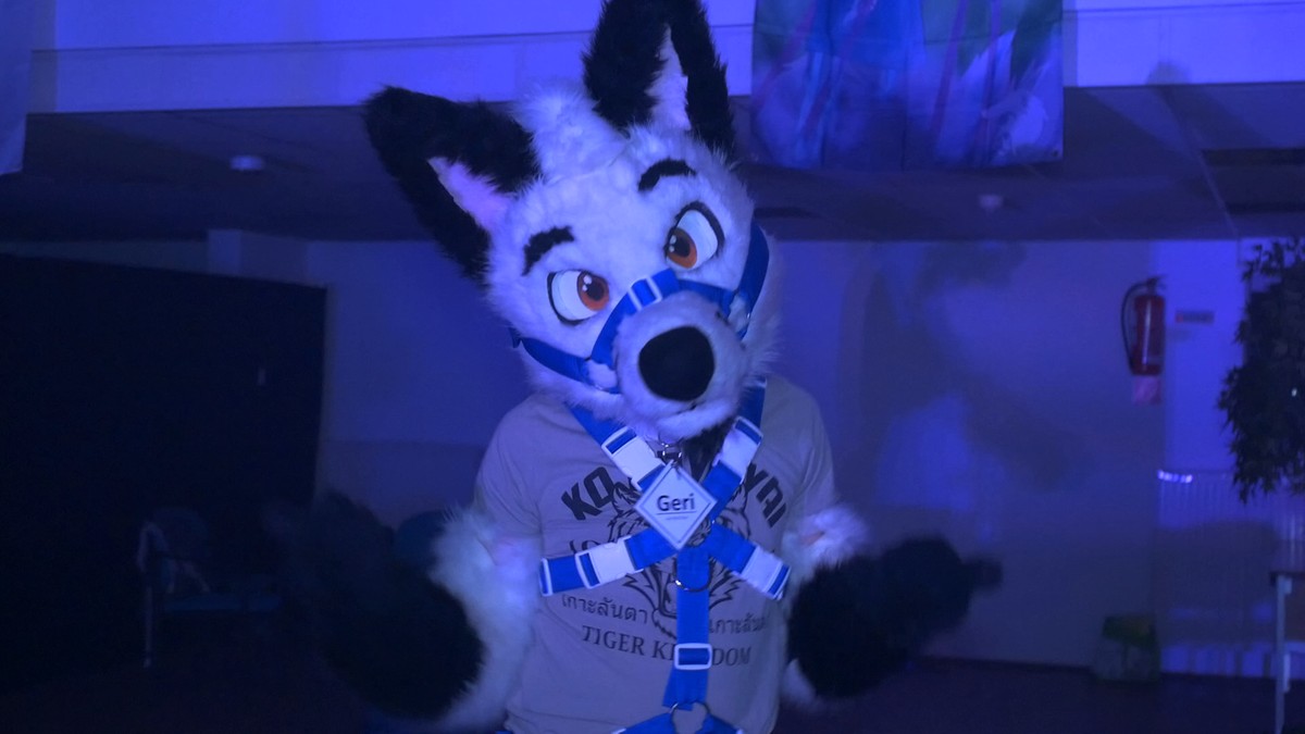 Dance 11