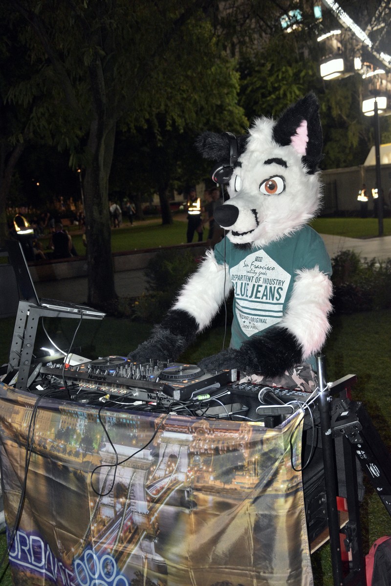 Hello Budapest 12 (Northern Wolf)
