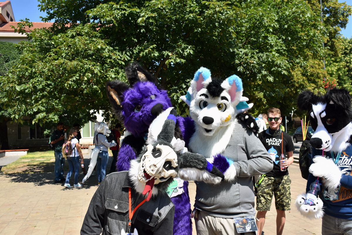 Summer Furs 06