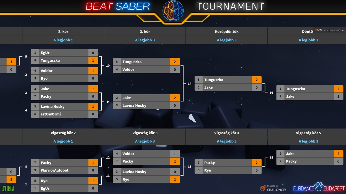 Profi liga
