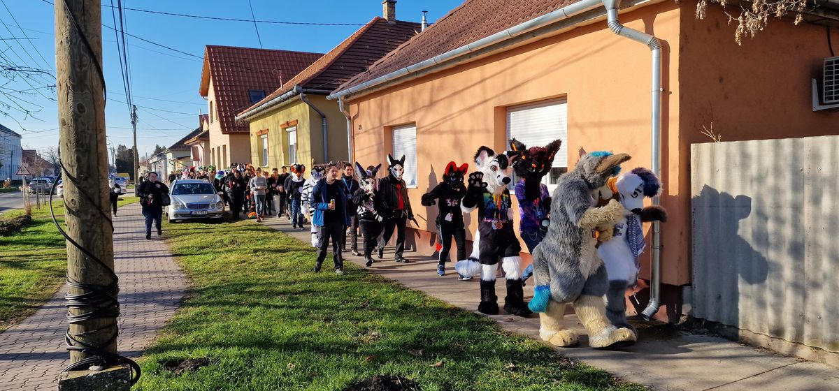 Walk1 (Mystery Furry)