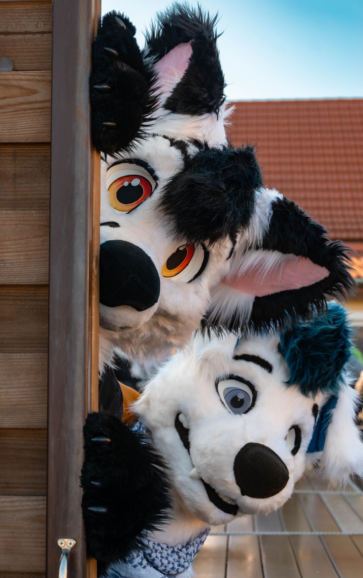 Peeking (Marty)